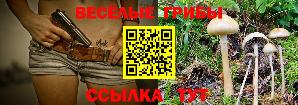 Псилоцибиновые грибы GOLDEN TEACHER Магадан