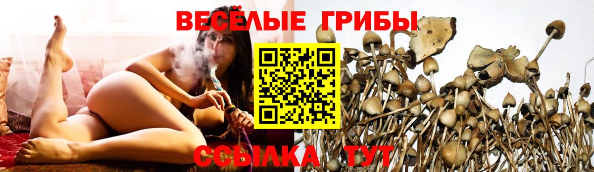 Магадан  Псилоцибиновые грибы Psilocybe  Вход с VPN 